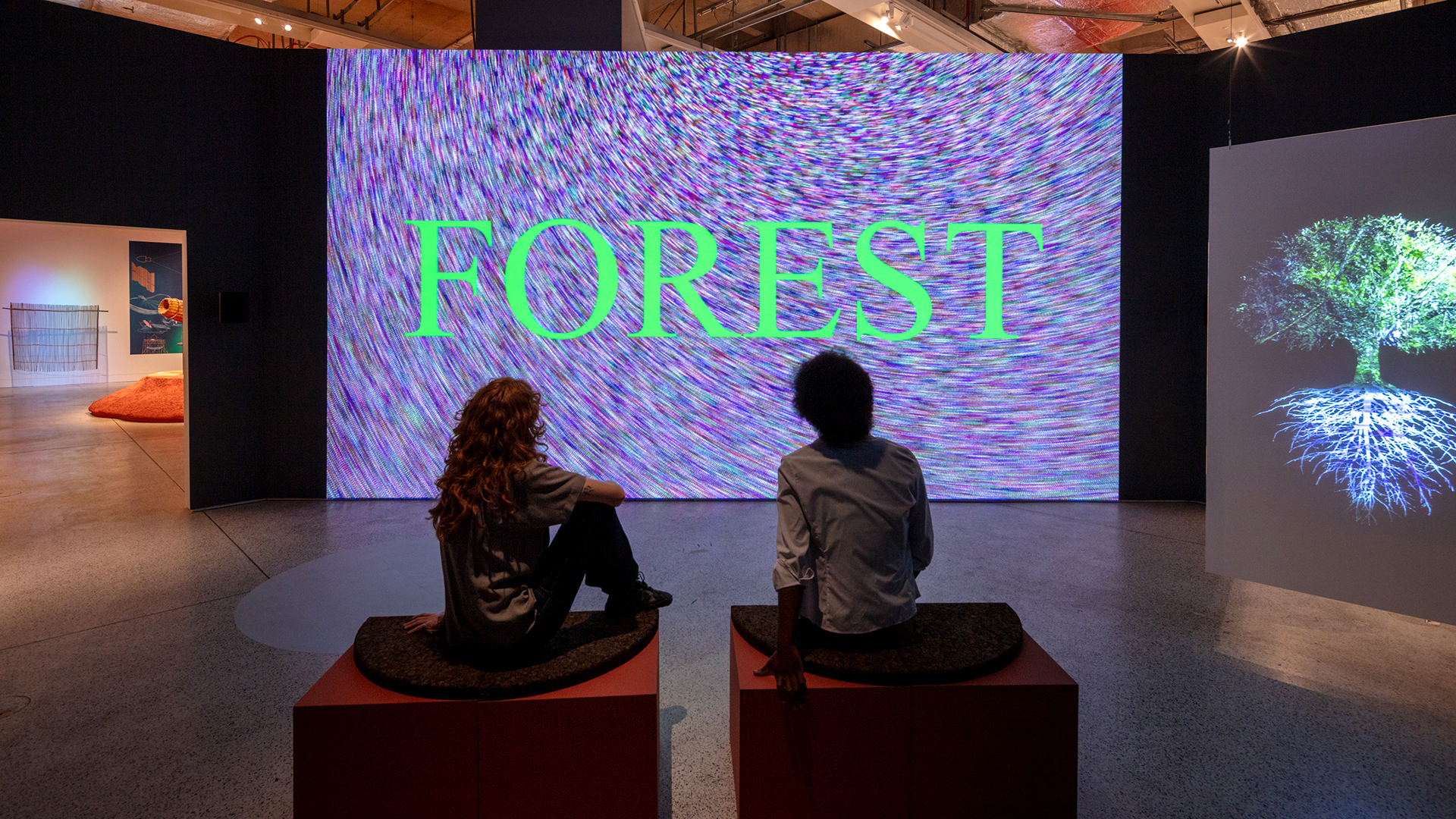 More than Human exhibition
