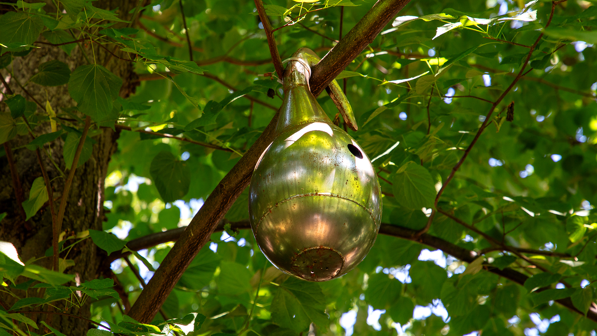 Birdhouse as part of Dwellings, Rehomed display at the Design Museum Garden